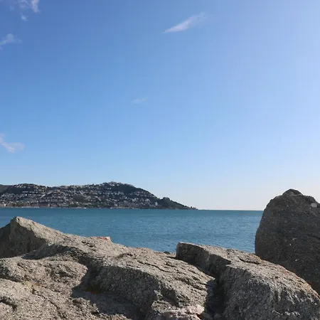 Mimosas C1 - Preciosa Vista Al Mar, Piso Reformado * 로지즈